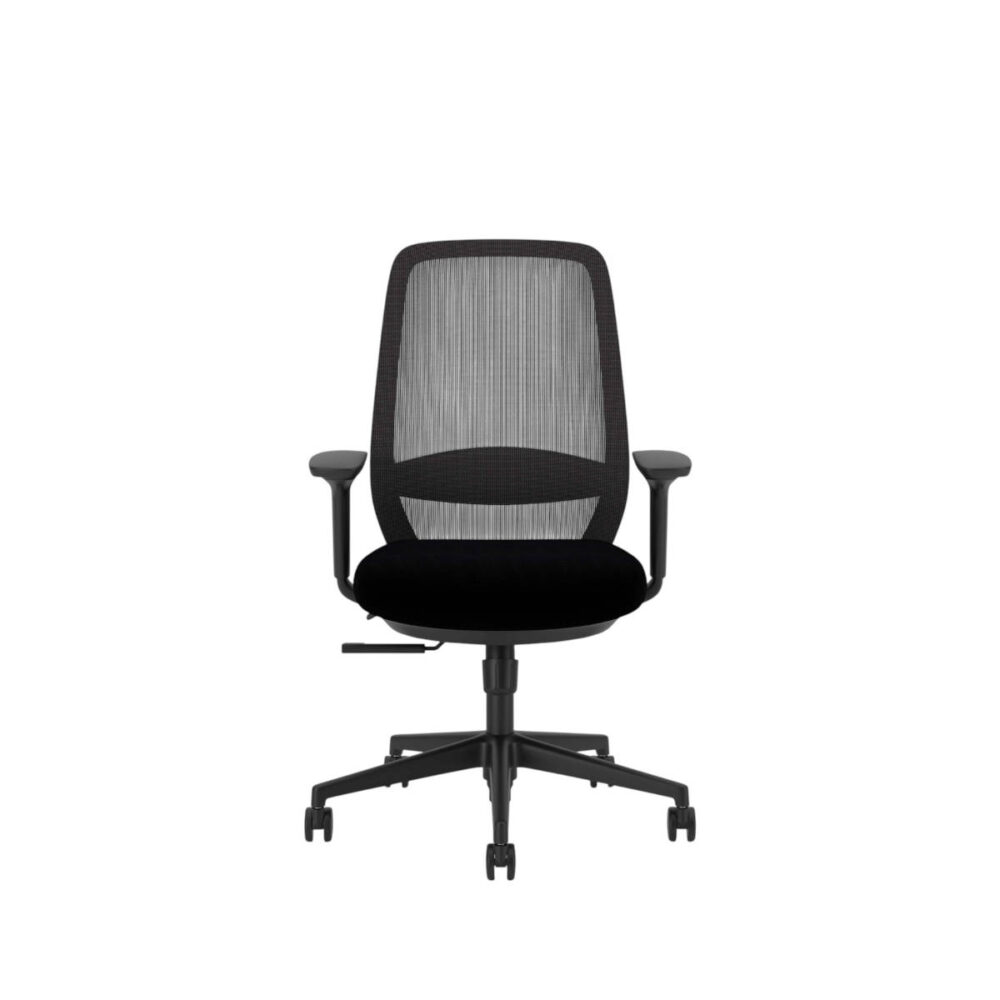 Elovie Mesh - Image 4