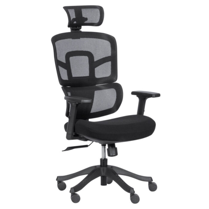 Ergo Black