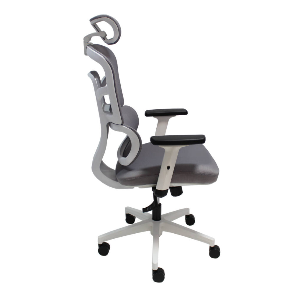 Ergo White - Image 6