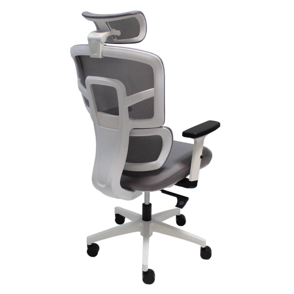 Ergo White - Image 7