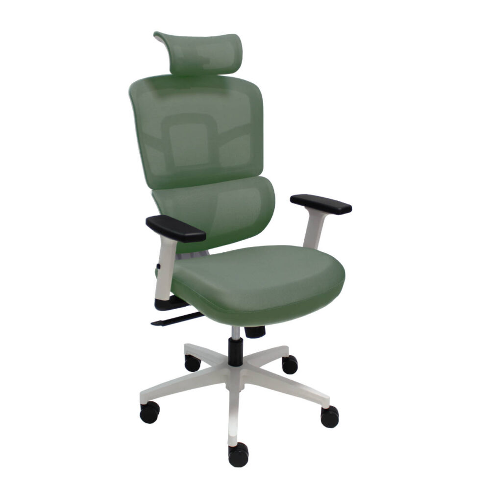 Ergo White - Image 10
