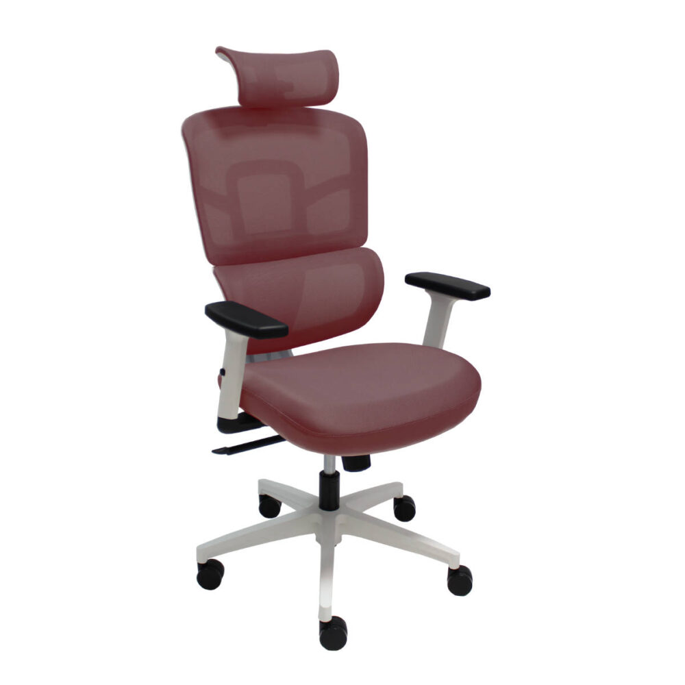 Ergo White - Image 12