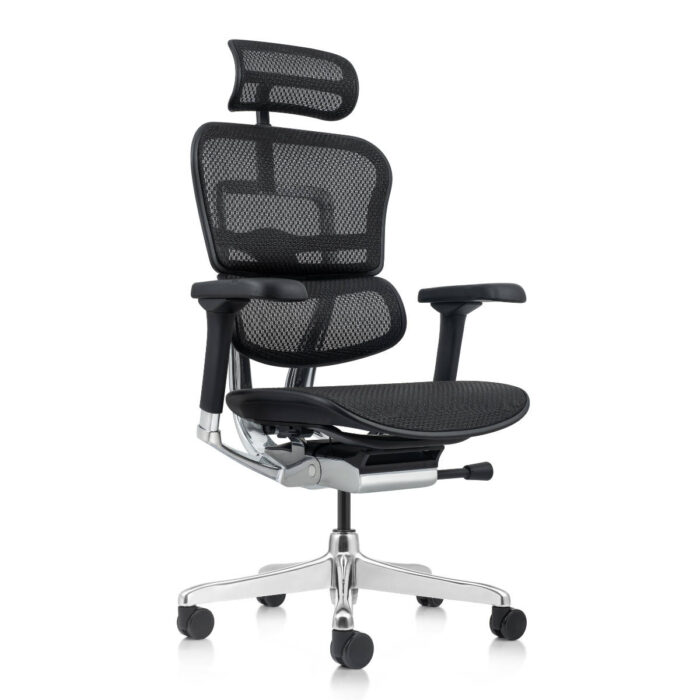 Ergohuman NEW