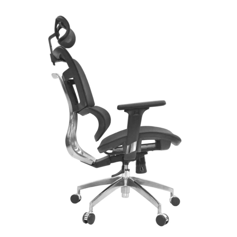 ErgoMax - Image 4
