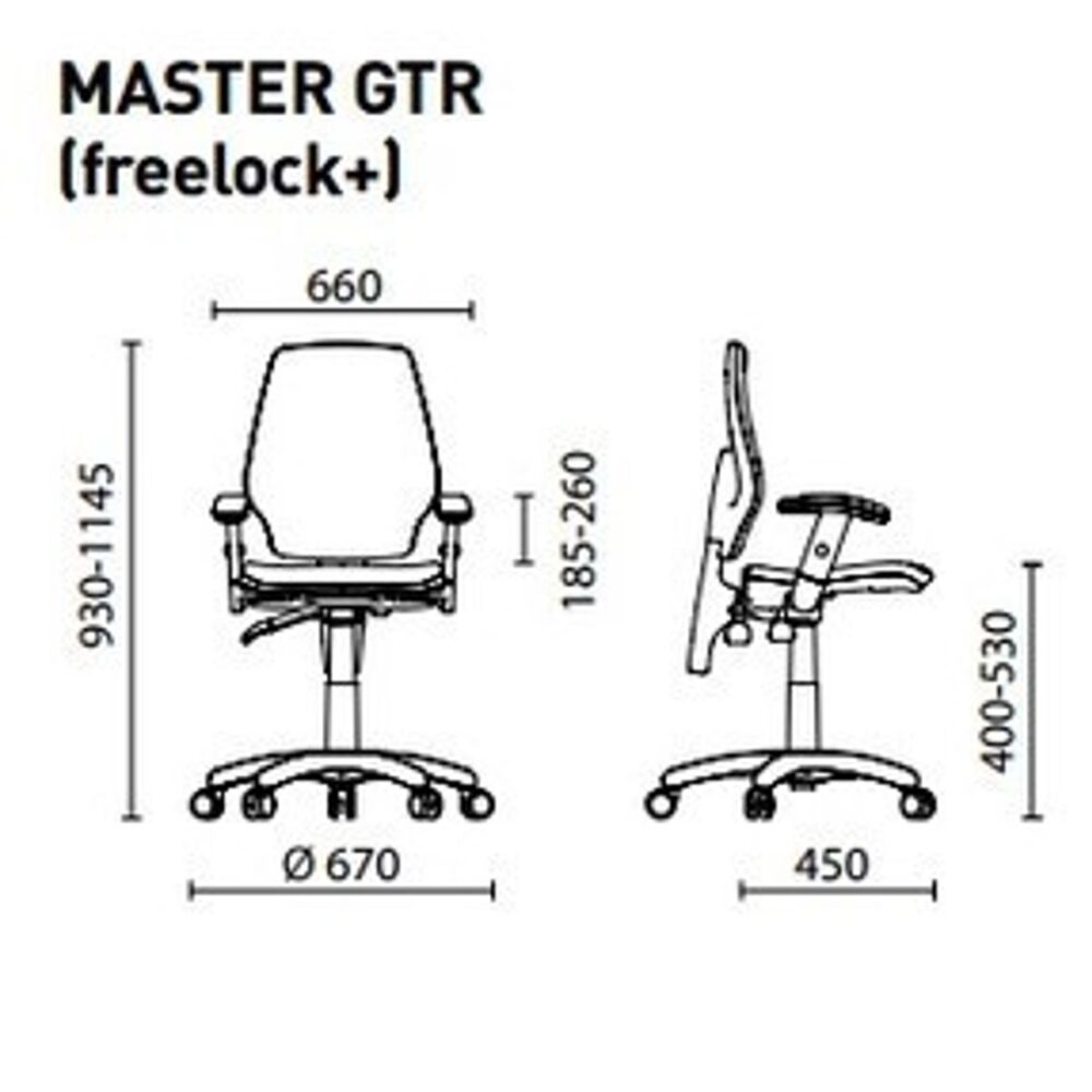 Master GTR - Image 4