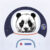 Fly Astro Panda